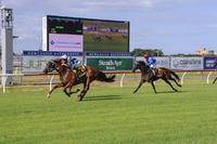 Pleasing Win From Stable Veteran, Red Dubawi