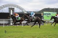 Another Win Under Misty Mountain Hop's Belt
