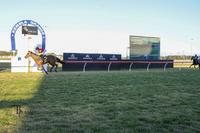 Two Wins on the Trot at Home Track for Virgilio