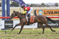 Genoveffa Wins 4th Up This Preparation to Make it Two Wins in a Row