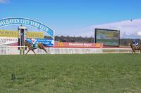Impressive 6 Length Victory for Tough Stayer Porky Pies