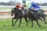 1st up Win for New Stable Runner, Think it Over