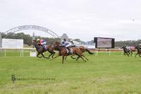 First Start, First Win for Horseta La Vista