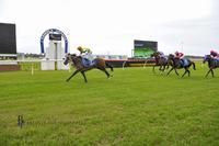 Sorridere Ticks Off Her Maiden Win at Kembla Grange
