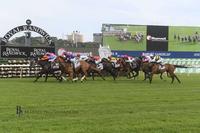 Think it Over Wins at Randwick over 2000 metres