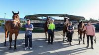 Great Article from the Illawarra Mercury
