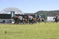 Tenorino Back in the Winner's Stall