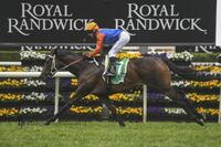 Success in the Group 3 Craven Plate for Think it Over