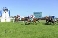 Don Luigi Locks Down His Maiden Win at Kembla Grange