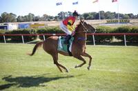 Judge’s Daughter Wins First Up for New Stable at Queanbeyan