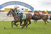 Misty Brook Wins on New Years Eve at Nowra