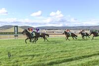 2nd Win on the Board for 3 Year Old Gelding by Nicconi, Don Luigi at Goulburn