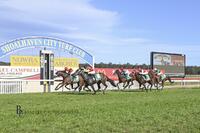 Back to Back Wins for Consistent 4y/o Headwater Mare, Role Play