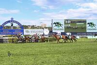 Think It Over Wins the Group 2, $1,000,000 Yulong Hill Stakes at Randwick