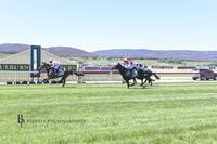 Hope In Your Heart Breaks Rivals Hearts at Goulburn on Halloween