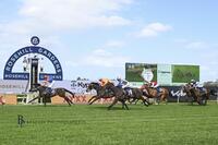 Think it Over Wins the Rosehill Gold Cup plus a $1,000,000.00 bonus