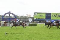 First Up Win for Think it Over in the Group 2 Apollo Stakes at Randwick on 12 February 2022