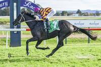Poseidon Jewel Takes Out Maiden Win at Hawkesbury on 19 May 2022