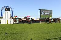 Two Wins in a Row for Galloper, Don Luigi