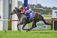 The Gift - 4/yo Pride of Dubai Mare Wins her Maiden at Kembla Grange on 16 April 2022