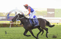 Think it Over Ruled out of Spring Carnival due to Injury - Press Release
