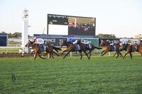 Group III Tibbie Stakes Success for Hope in Your Heart