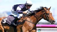  Debut Flemington winner for Jack Martin