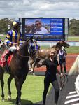 Toorak Cowboy salutes at Sandown