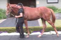 The Yearlings have Landed!
