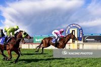 Havana to Echuca for a win!