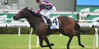Jack Martin and Moss'N'Dale take out the Gr3 Craven Plate.
