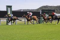Second win at Gosford for Bonbonniere