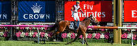 Lasqueti Spirit scores stunning upset in Group 1 staying classic at Flemington