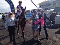 Expressions of interest - Magic Millions Ladies syndicate