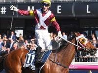 Sydney Cup: Lee Curtis’ Lasqueti Spirit bids to break century-long hoodoo in