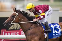 Meryl's star to shine in breeding barn