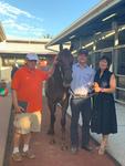 Magic Millions - New ladies leases
