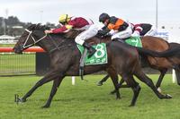 Any Wish wins twice in five days