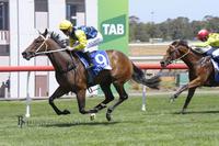 Superbellaa to take on Stakes company
