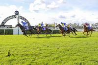 Heart of Siena shows promise at first race start
