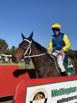Superbellaa back in the winners circle