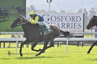 Siena gives new partnership its first win
