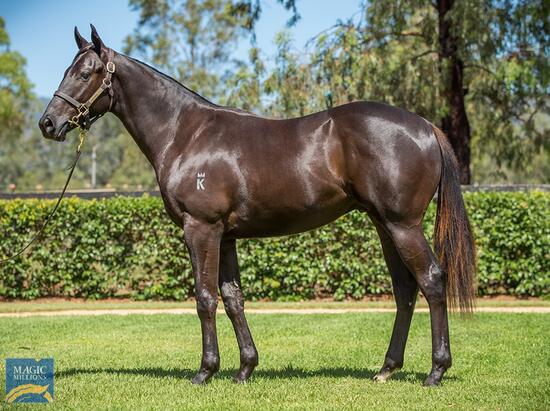 Capitalist X Finally Colt