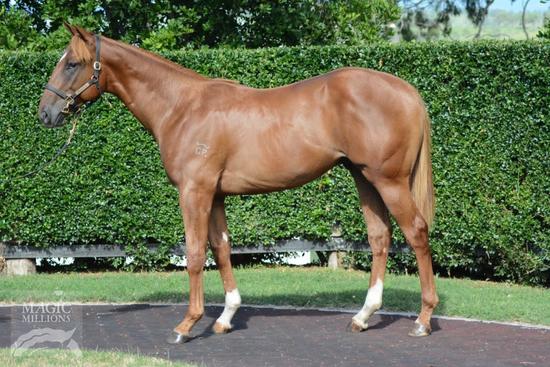 Sunlander