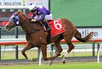 Hard Work Finally Pays Off For Shogun Sun