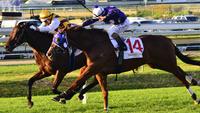 Shogun Sun Backs Up Jim Byrne’s Early Confidence