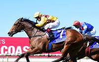 DARKTOWN STRUTTER AIMS TO END DOOMBEN HOODOO