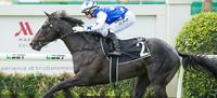 Schweida begins a Magic Millions Odyssey