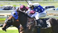 Schweida strengthens Magic Millions hand