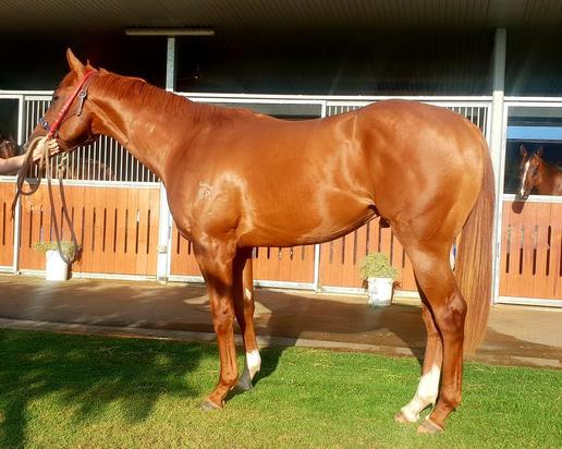 Sunlander